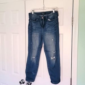 Judy Blue Denim Cropped